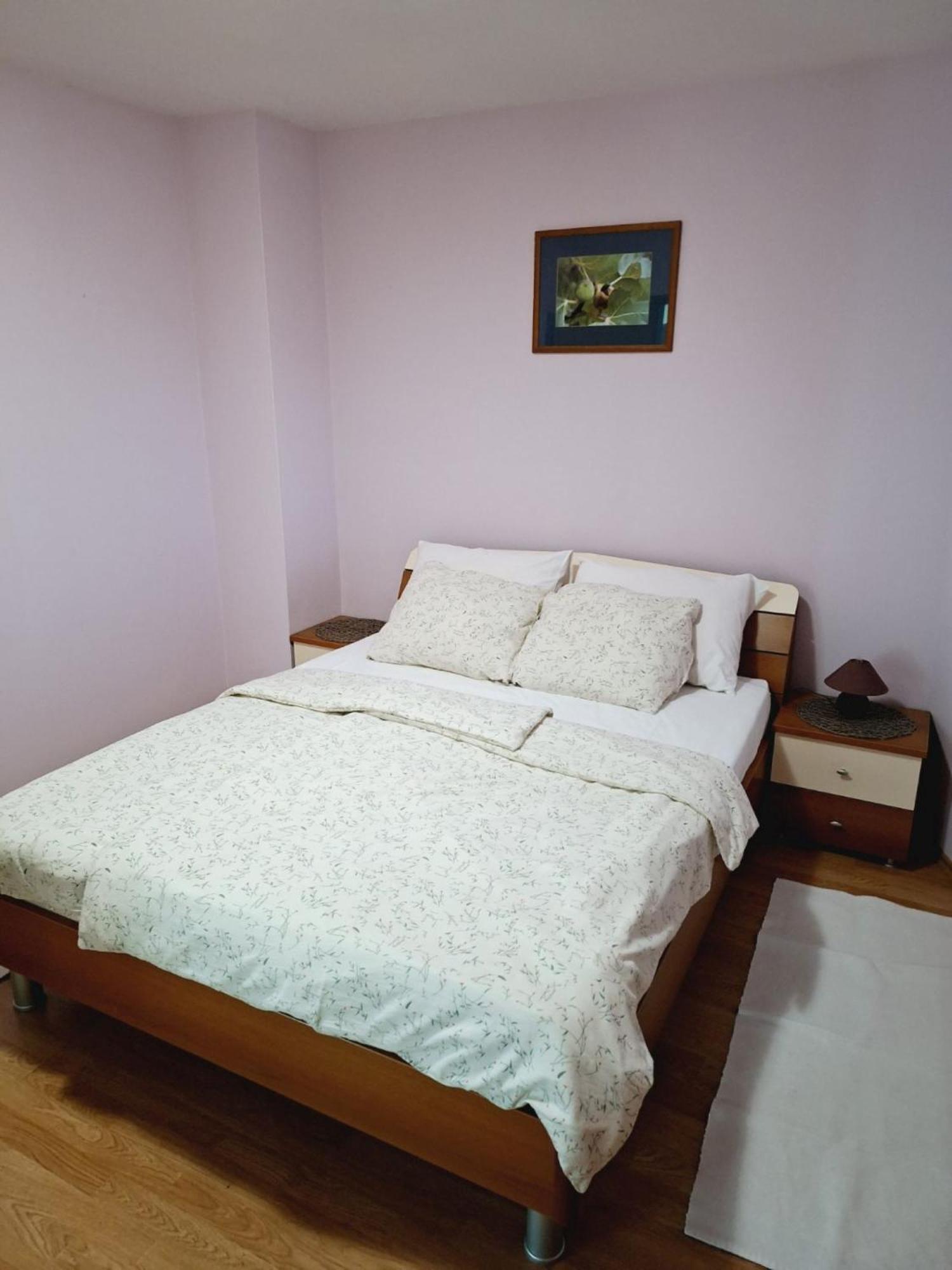 Apartmani Rino ドラマリ エクステリア 写真